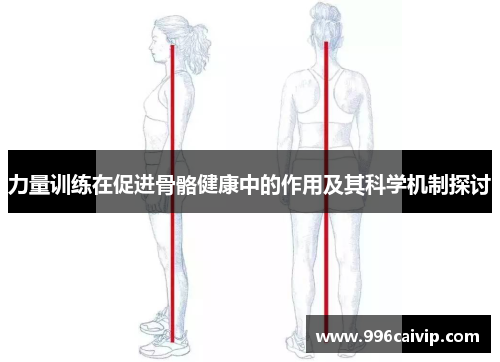 力量训练在促进骨骼健康中的作用及其科学机制探讨